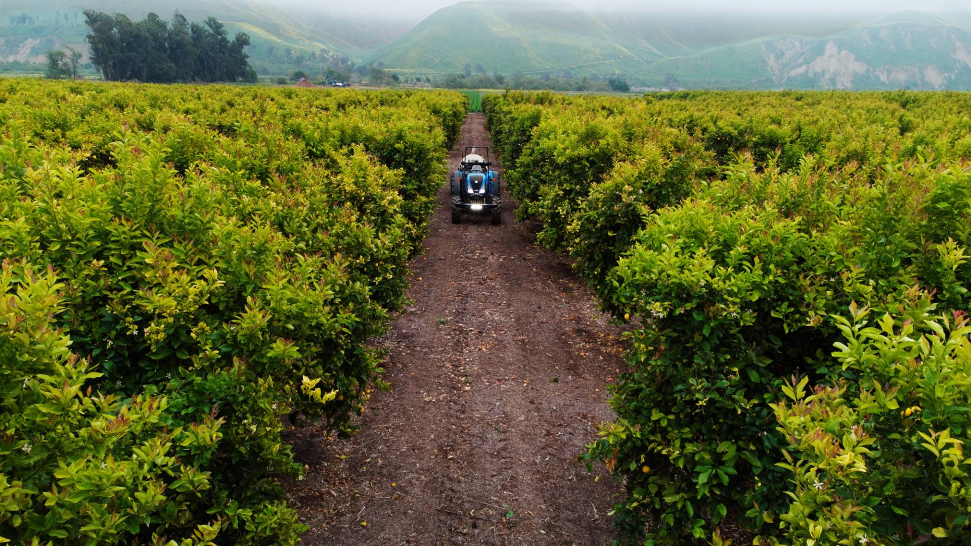 New Holland in Citrus2