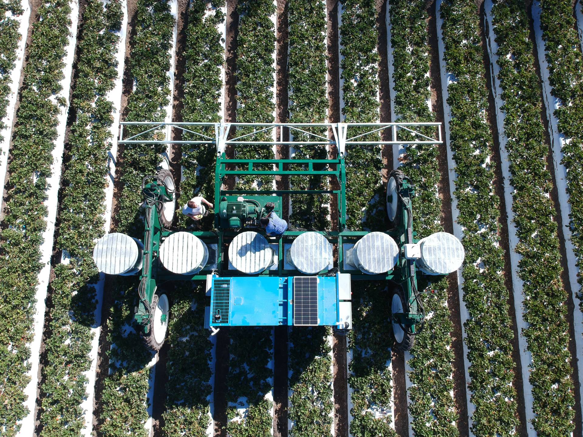 Tric Overhead