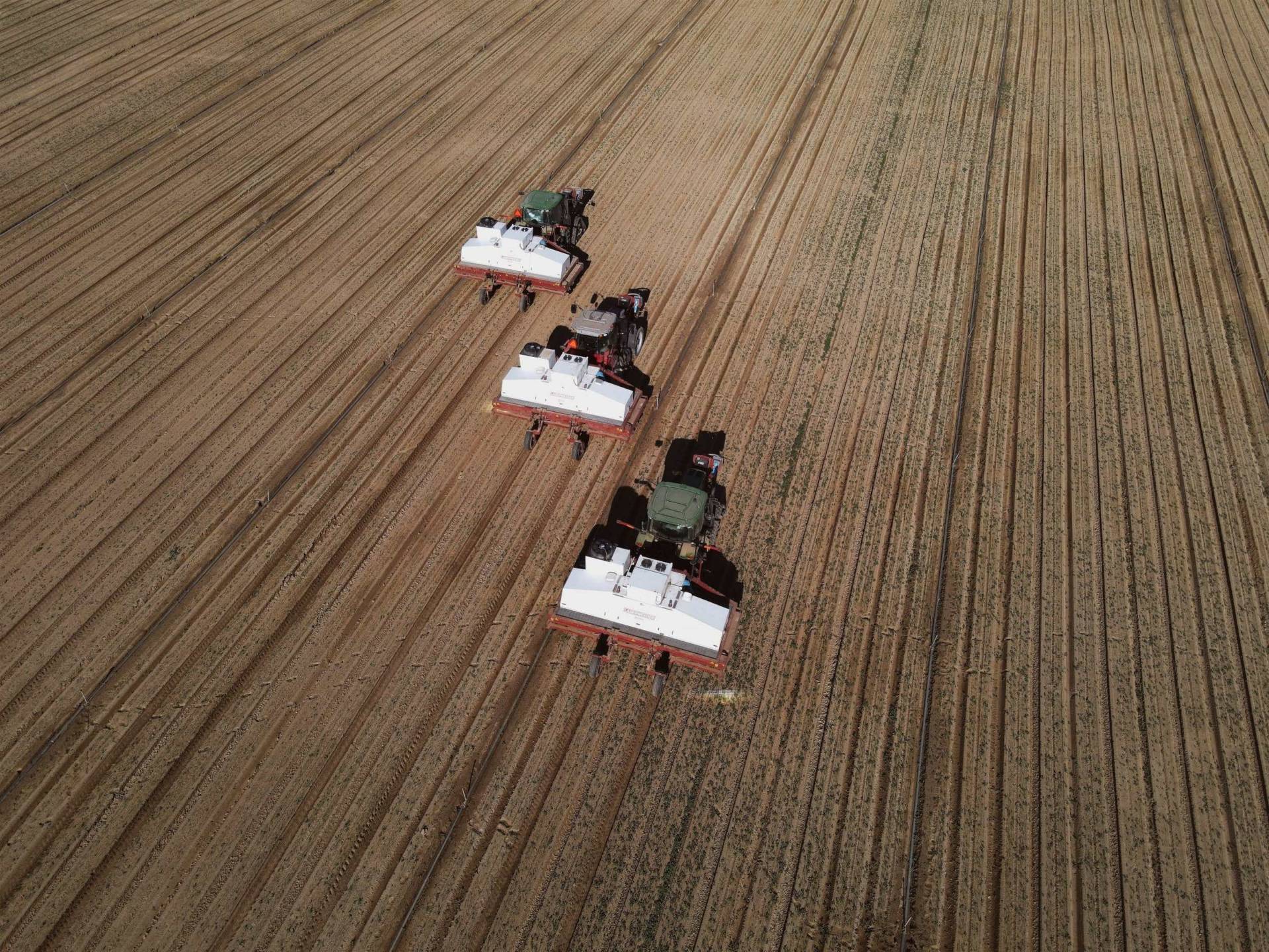 laser weeders