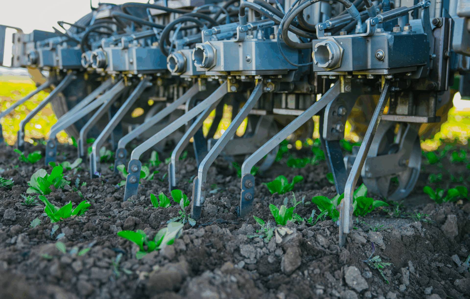 2025: A Strong Year of Steady Innovation Meets Harsh Realities